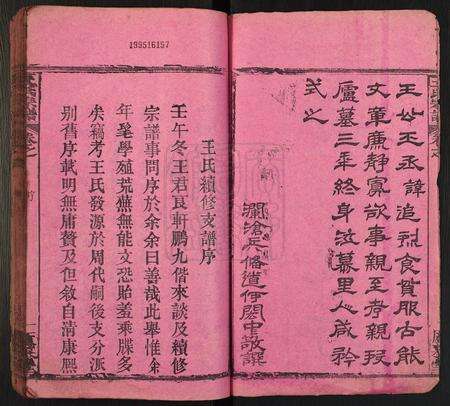 河南王氏族谱-王氏宗谱[10卷含首卷, 末1卷].pdf电子版预览图2