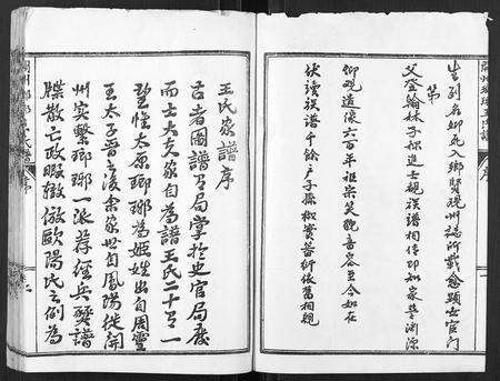 河南王氏族谱-开州琅琊王氏谱.pdf电子版预览图2