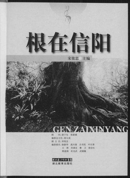河南未知族谱-根在信阳.pdf电子版预览图2