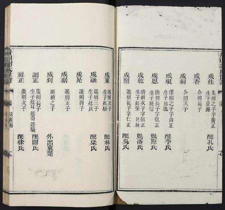 广东谢氏族谱-丹山谢氏世谱.pdf电子版预览图2