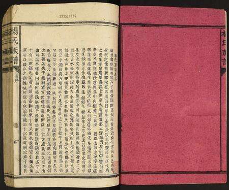 广东杨氏族谱-杨氏宗谱.pdf电子版预览图2