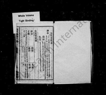 河南岳氏族谱-岳飞家史 [19卷,首1卷].pdf电子版预览图2