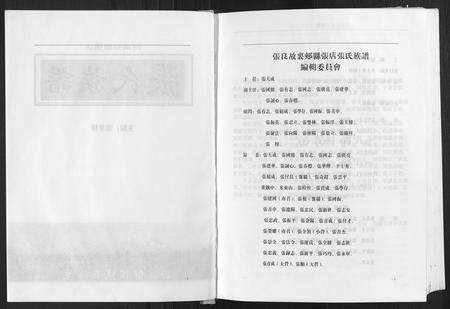 河南张氏族谱-张氏族谱.pdf电子版预览图2