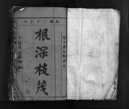 广东陈氏族谱-陈氏族谱 [9卷].pdf电子版预览图2