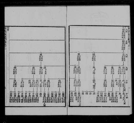 广东何氏族谱-何氏族谱 [4卷].pdf电子版预览图2