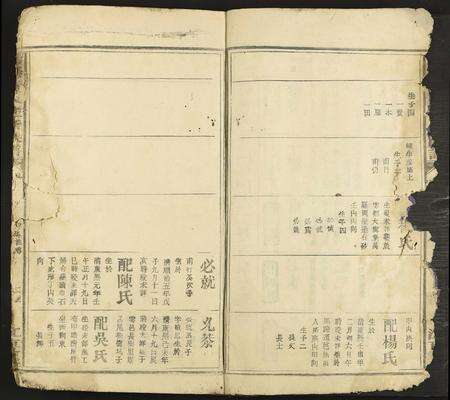 江西、广东黄氏族谱-雩阳黄氏陆修族谱 [不分卷].pdf电子版预览图2