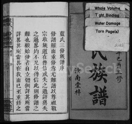 江西、福建蓝氏族谱-蓝氏族谱 [世系4卷,世次14卷,首末各1卷].pdf电子版预览图2