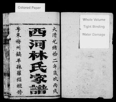 广东林氏族谱-西河林氏家谱.pdf电子版预览图2