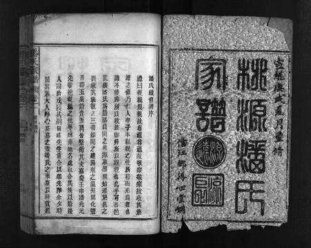 江西、福建潘氏族谱-桃源潘氏家谱 [14卷].pdf电子版预览图2