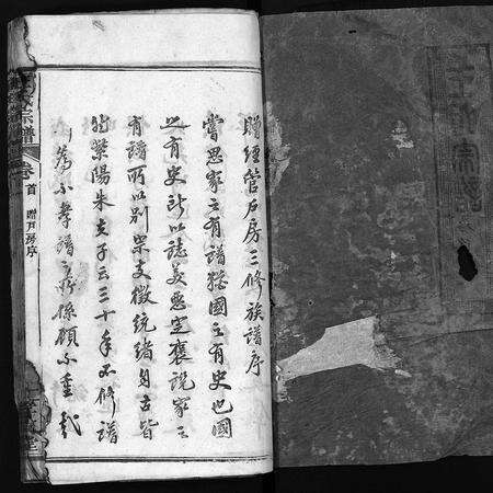 河南、安徽王氏族谱-王氏宗谱 [43卷,首1卷].pdf电子版预览图2