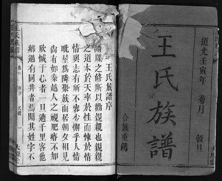 江西、广东、福建王氏族谱-王氏族谱 [8卷,首1卷].pdf电子版预览图2