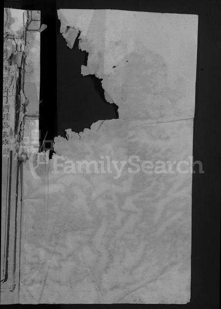 江西、福建王氏族谱-太原王氏族谱 [不分卷].pdf电子版预览图2