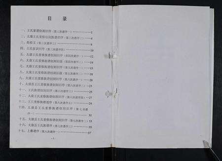 河南王氏族谱-太康马头王氏族谱 [不标卷数].pdf电子版预览图2