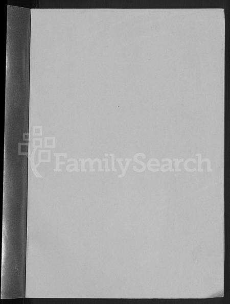 河南王氏族谱-王氏族谱 _ 太康支谱 [不分卷].pdf电子版预览图2