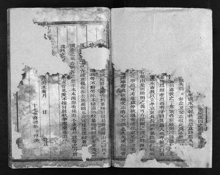 江西、福建杨氏族谱-杨氏宗谱 [卷数不详].pdf电子版预览图2