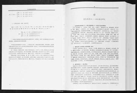 河南袁氏族谱-中华袁氏通用世系[1册].pdf电子版预览图2