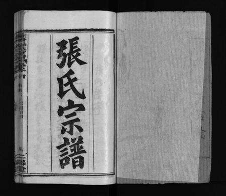 河南张氏族谱-剑峰张氏宗谱 [39卷,首2卷].pdf电子版预览图2