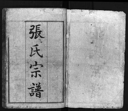 河南张氏族谱-张氏宗谱 [29卷,含首1卷].pdf电子版预览图2