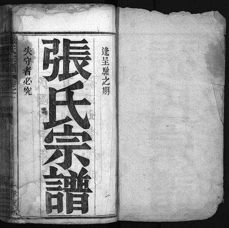 河南张氏族谱-张氏宗谱 [8卷].pdf电子版预览图2