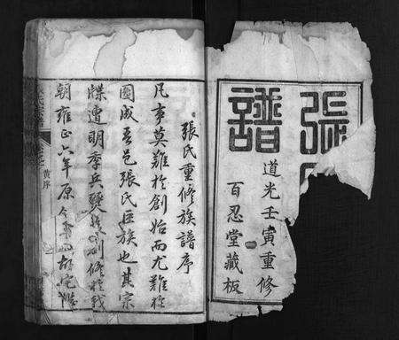 河南张氏族谱-张氏宗谱 [8卷].pdf电子版预览图2