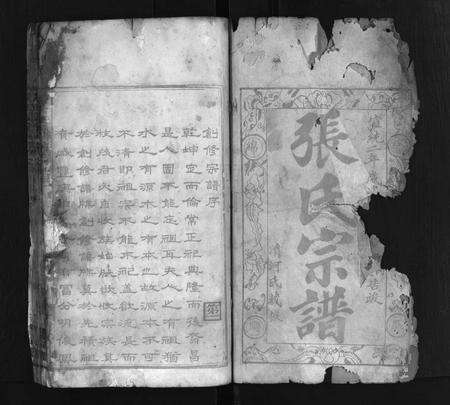 河南张氏族谱-张氏宗谱 [各房分卷,首11卷].pdf电子版预览图2