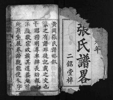 河南张氏族谱-张氏谱畧 [16卷,首末各1卷].pdf电子版预览图2