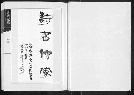 河南张氏族谱-张氏家谱 _ 河南偃师西小寨百忍堂.pdf电子版预览图2