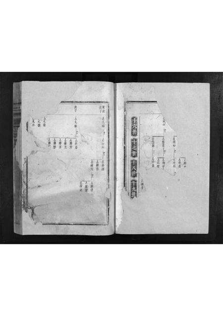 江西、福建江氏族谱-江氏重修族谱 [不分卷].pdf电子版预览图2