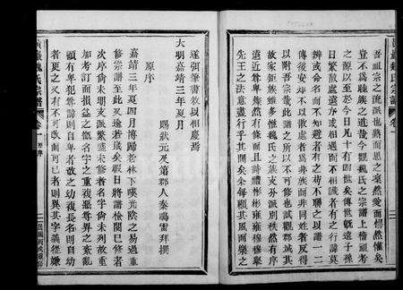 浙江魏氏族谱-黄巖魏氏宗谱 [6卷].pdf电子版预览图2