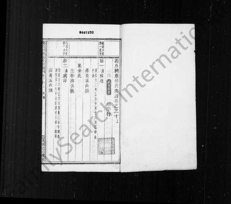 义乌杨氏族谱-稠巖杨氏合族宗谱 ： [37卷](别名：义乌稠巖杨氏宗谱).pdf电子版预览图2