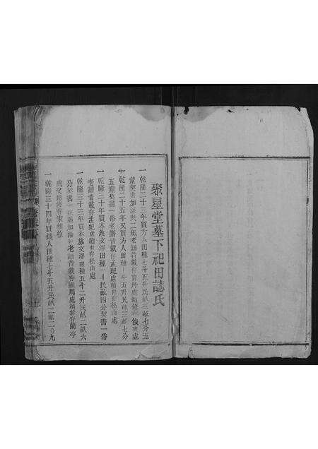 安徽陈氏族谱-陈氏宗谱.pdf电子版预览图2