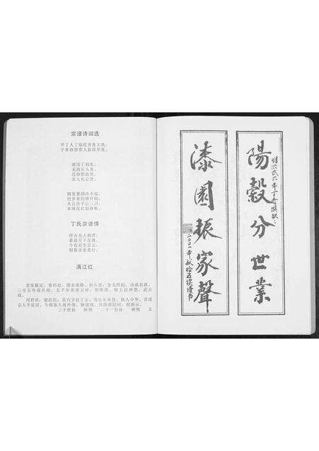 安徽丁氏族谱-丁氏宗谱[不分卷].pdf电子版预览图2