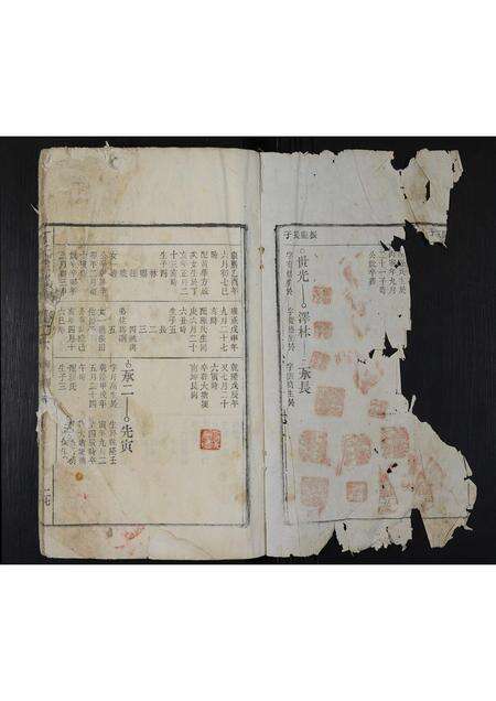 安徽丁氏族谱-丁氏宗谱 [残卷].pdf电子版预览图2