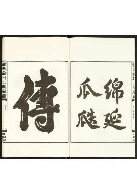 安徽董氏族谱-董氏窑村二房家谱.pdf电子版预览图2