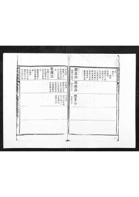 安徽何氏族谱-何氏族谱[10卷首末各1卷].pdf电子版预览图2