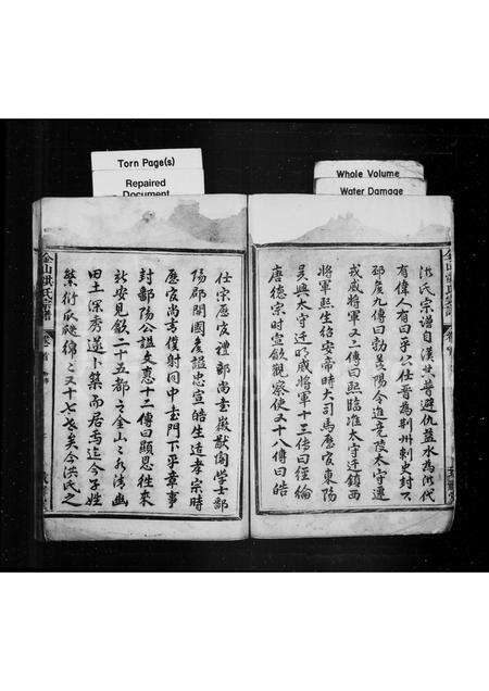 安徽洪氏族谱-金山洪氏宗谱 [4卷].pdf电子版预览图2