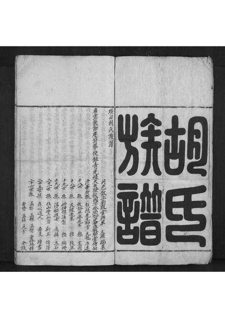 安徽胡氏族谱-胡氏族谱[不分卷].pdf电子版预览图2