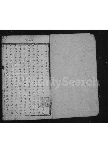 安徽胡氏族谱-横冈胡氏支谱 [2卷].pdf电子版预览图2