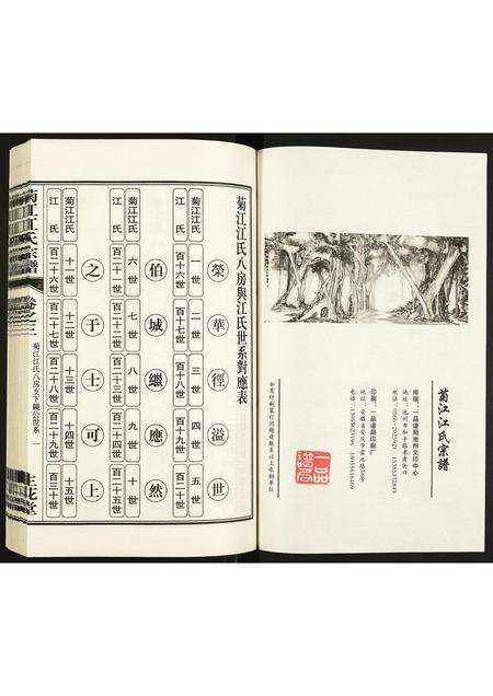 安徽江氏族谱-菊江江氏宗谱.pdf电子版预览图2