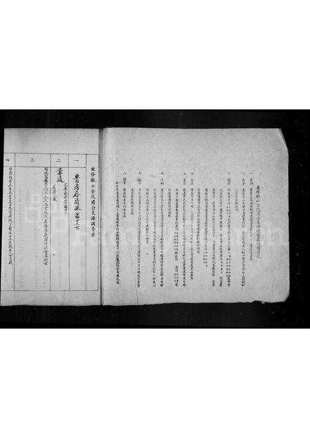 安徽金氏族谱-瓯山金氏迁庐支谱表.pdf电子版预览图2