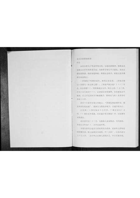 安徽金氏族谱-金氏家谱[不分卷].pdf电子版预览图2