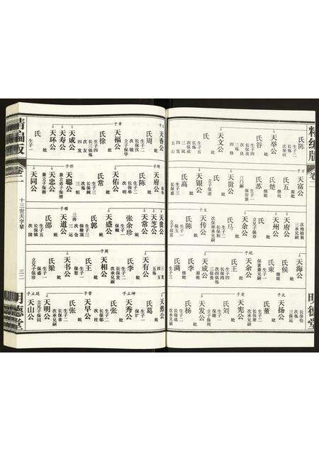 安徽康氏族谱-康氏族谱.pdf电子版预览图2