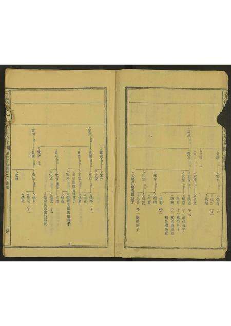 安徽李氏族谱-石溪李氏九修族谱 [残卷].pdf电子版预览图2