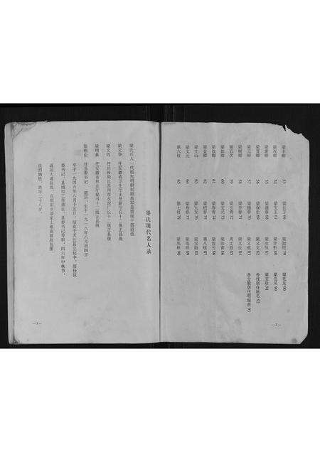 安徽梁氏族谱-梁氏家谱.pdf电子版预览图2