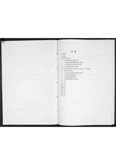 安徽梁氏族谱-梁氏家谱[不分卷].pdf电子版预览图2