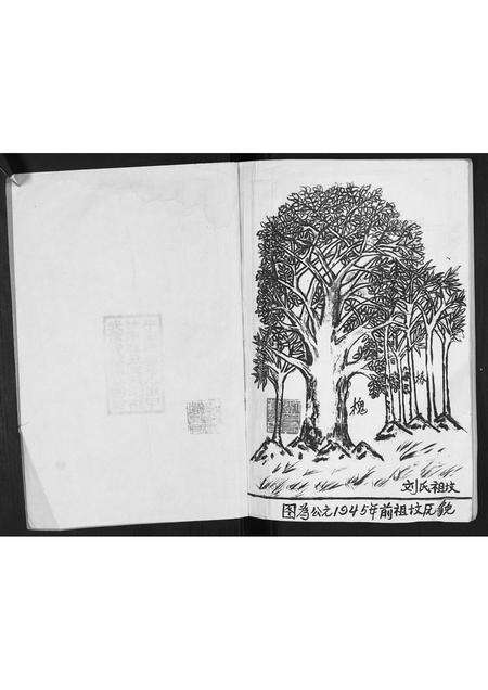 安徽刘氏族谱-刘氏家谱[不分卷].pdf电子版预览图2