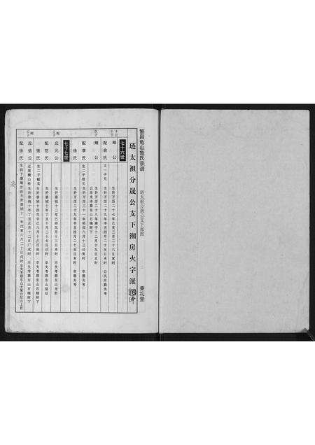 安徽鲁氏族谱-瀪昌宅山鲁氏宗谱[不分卷].pdf电子版预览图2