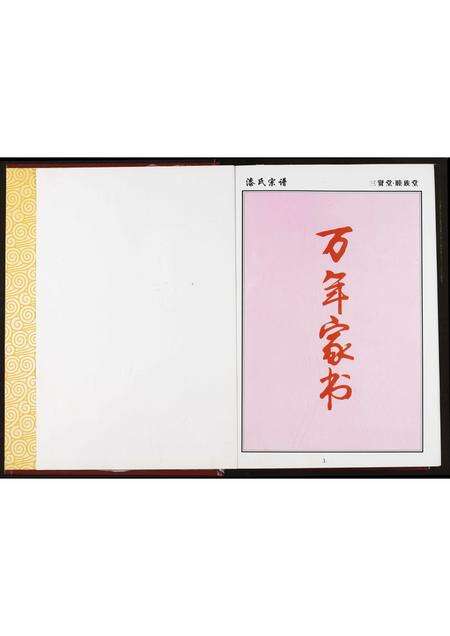 安徽戚氏漆氏族谱-中华漆(戚)氏宗谱.安徽金寨卷.pdf电子版预览图2