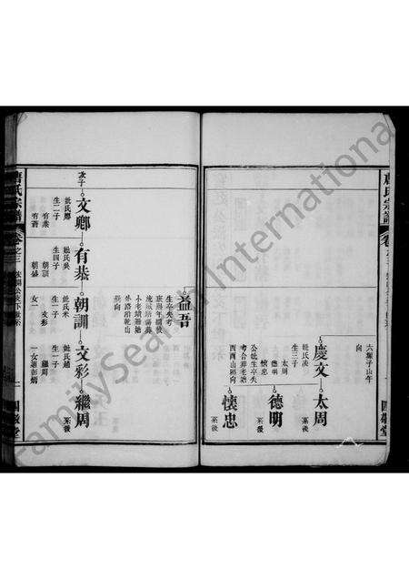 安徽唐氏族谱-唐氏族谱 [6卷].pdf电子版预览图2