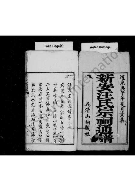 安徽汪氏族谱-新安汪氏宗祠通谱 [4卷,首末各1卷].pdf电子版预览图2